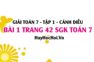 Giải bài 1 trang 42 Toán 7 Tập 1 SGK Cánh Diều